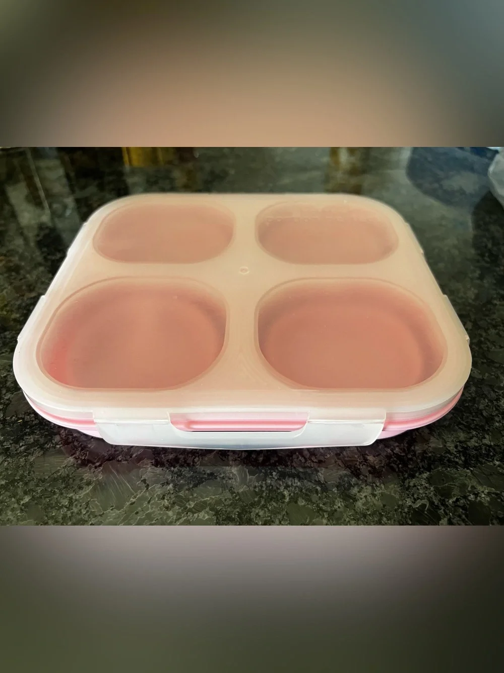 Pink Silicone 4-Compartment Snack Box